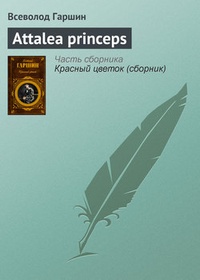 Обложка Аttalea princeps