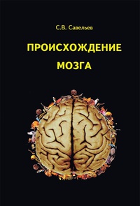 Обложка Происхождение мозга