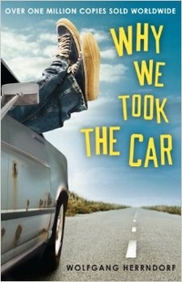 Обложка Why We Took the Car