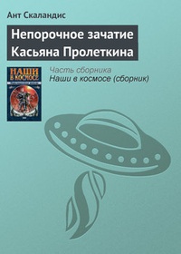Обложка Непорочное зачатие Касьяна Пролеткина
