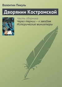 Обложка Дворянин Костромской