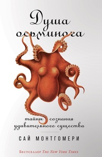 Обложка Душа осьминога. Тайны сознания удивительного существа