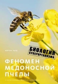 Обложка Феномен медоносной пчелы. Биология суперорганизма