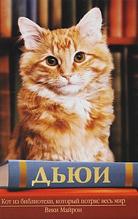 Обложка Дьюи. Кот из библиотеки, который потряс весь мир
