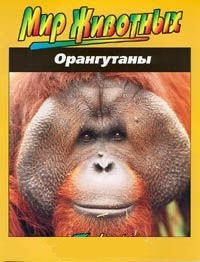 Обложка Орангутаны