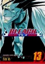 Bleach, Volume 13