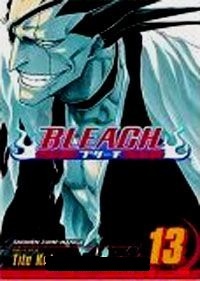 Обложка Bleach, Volume 13