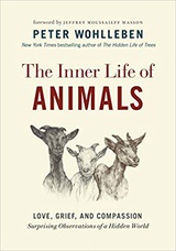The Inner Life of Animals: Love, Grief, and Compassion: Surprising Observations of a Hidden World