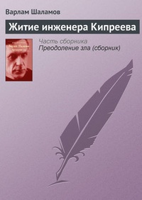 Обложка Житие инженера Кипреева