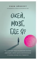 Окей, мозг, где я? Как работает наша внутренняя система навигации, зачем нужны воспоминания и почему иногда они стираются 