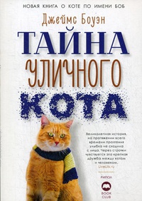 Обложка Тайна уличного кота