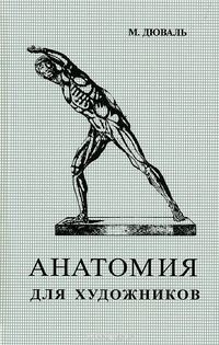 Обложка Анатомия для художников