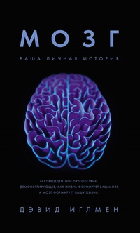Обложка Мозг. Ваша личная история 