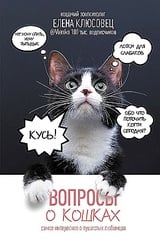 Вопросы о кошках